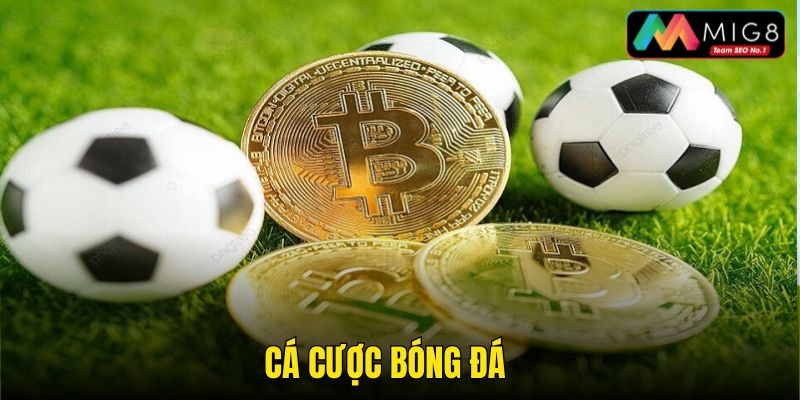 Cá cược bóng đá - Dịch vụ phát triển hàng đầu trên thể thao Mig8